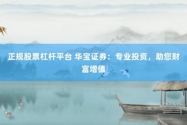 正规股票杠杆平台 华宝证券：专业投资，助您财富增值