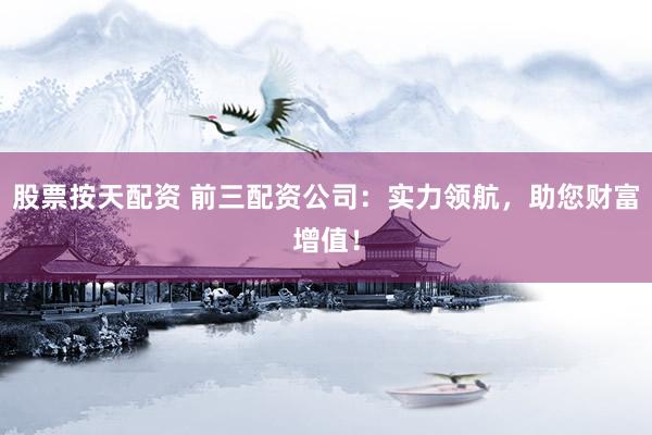 股票按天配资 前三配资公司：实力领航，助您财富增值！