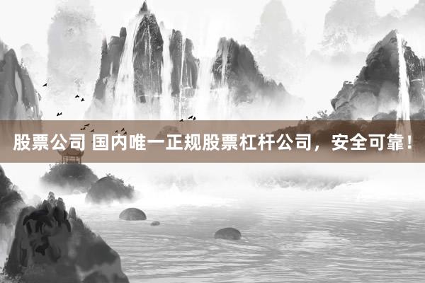 股票公司 国内唯一正规股票杠杆公司，安全可靠！