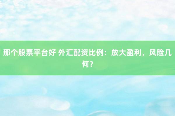 那个股票平台好 外汇配资比例：放大盈利，风险几何？