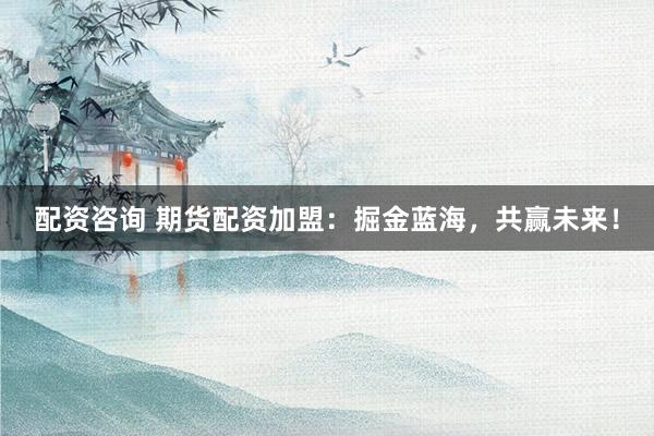 配资咨询 期货配资加盟：掘金蓝海，共赢未来！