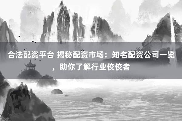 合法配资平台 揭秘配资市场：知名配资公司一览，助你了解行业佼佼者