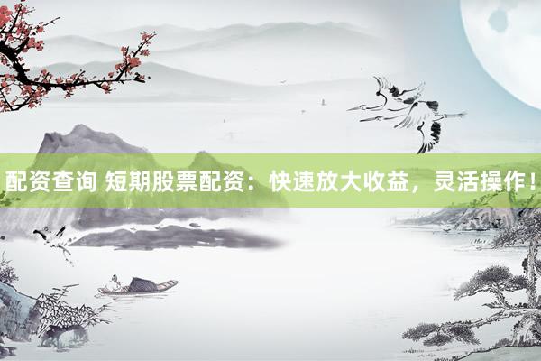 配资查询 短期股票配资：快速放大收益，灵活操作！