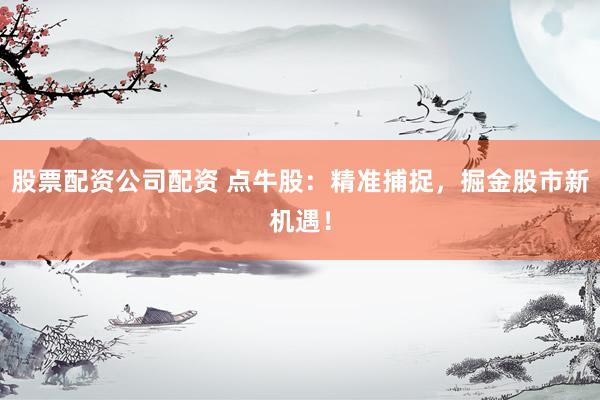 股票配资公司配资 点牛股：精准捕捉，掘金股市新机遇！