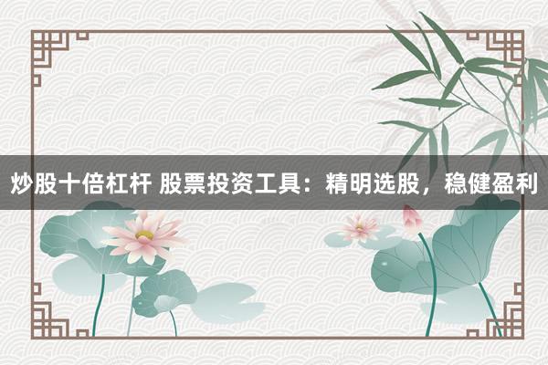 炒股十倍杠杆 股票投资工具：精明选股，稳健盈利