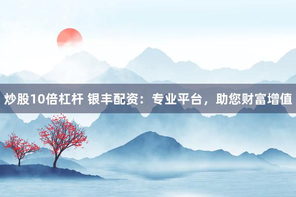 炒股10倍杠杆 银丰配资：专业平台，助您财富增值