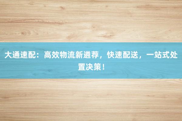 大通速配:高效物流新遴荐,快速配送,一站式处置决策!