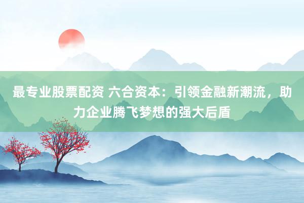 最专业股票配资 六合资本：引领金融新潮流，助力企业腾飞梦想的强大后盾