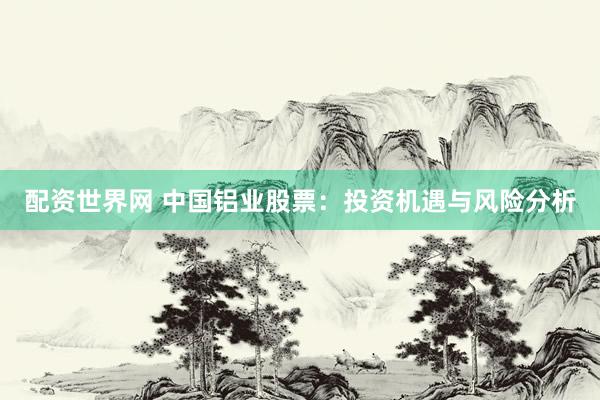 配资世界网 中国铝业股票：投资机遇与风险分析