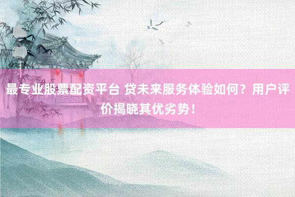 最专业股票配资平台 贷未来服务体验如何？用户评价揭晓其优劣势！